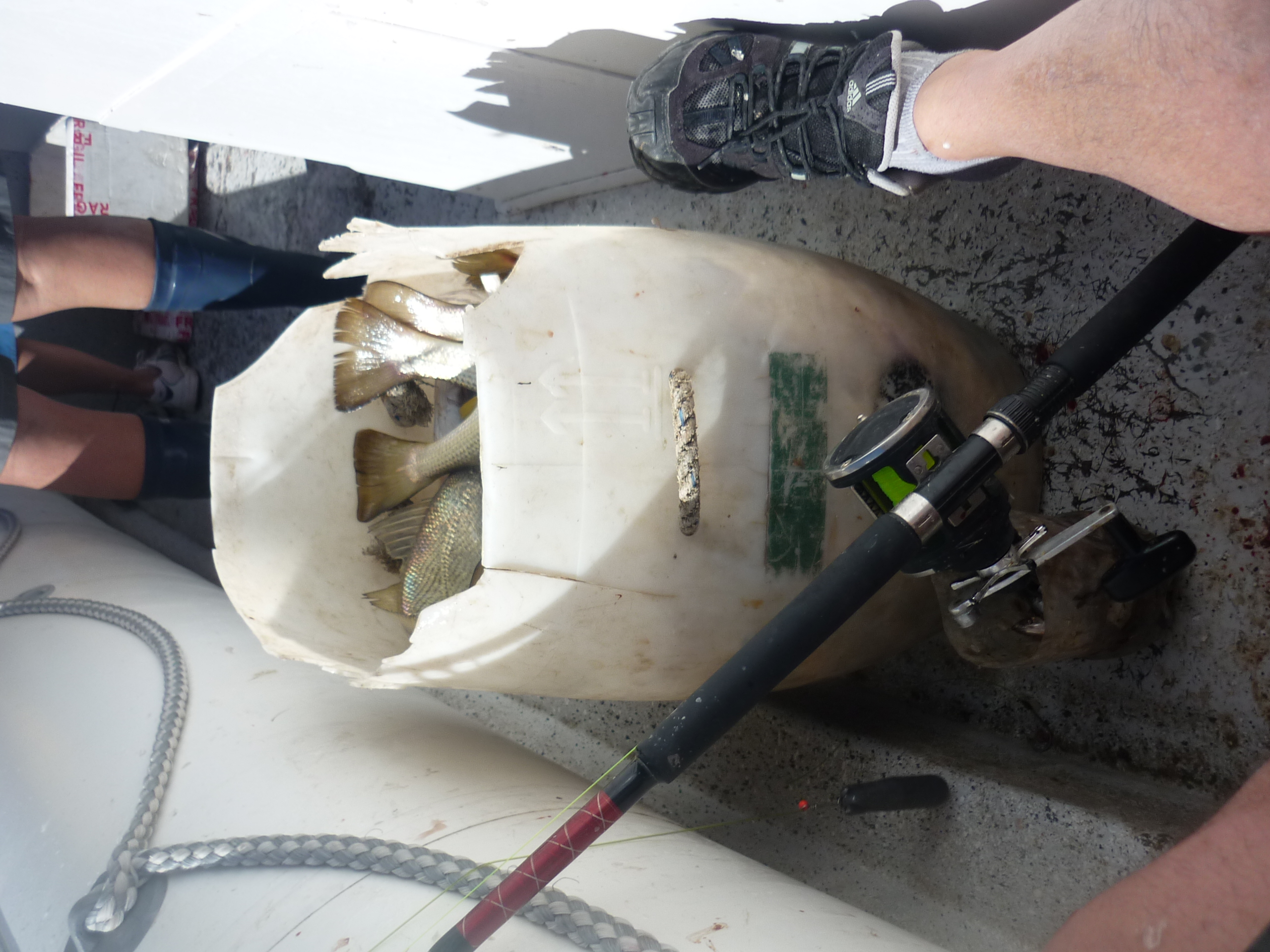 fotos/2012-12-08 - Pesca Bahia San Blas/P1030049.JPG